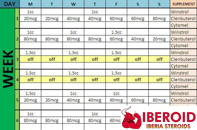 Clenbuterol Cycle: Clen Cycle Results and Effects for Women - Iberoid ...