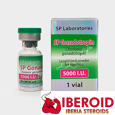 product_153355740613ccsp-gonadotropi