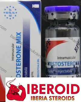 TESTOSTERONE MIX - sustanon-EPF/10 ML