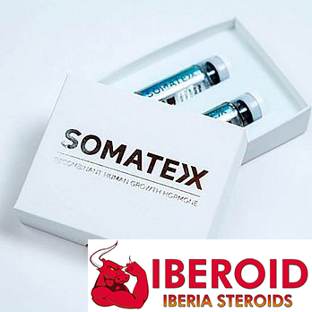somatexx-1