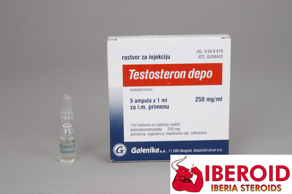Testosterona Depot - Galenika- 5 ampollas