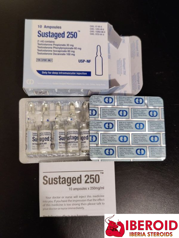 Sustaged-250-Golden-Dragon-1-600x800