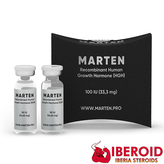 Marten_